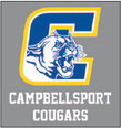 Campbellsport School  District President  Names Thomas Wissink  New Administrator
