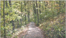 An Upcoming Calendar of Events for the Northern Kettle Moraine State Forest