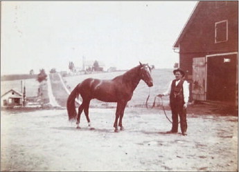 A Horse in St. Kilian